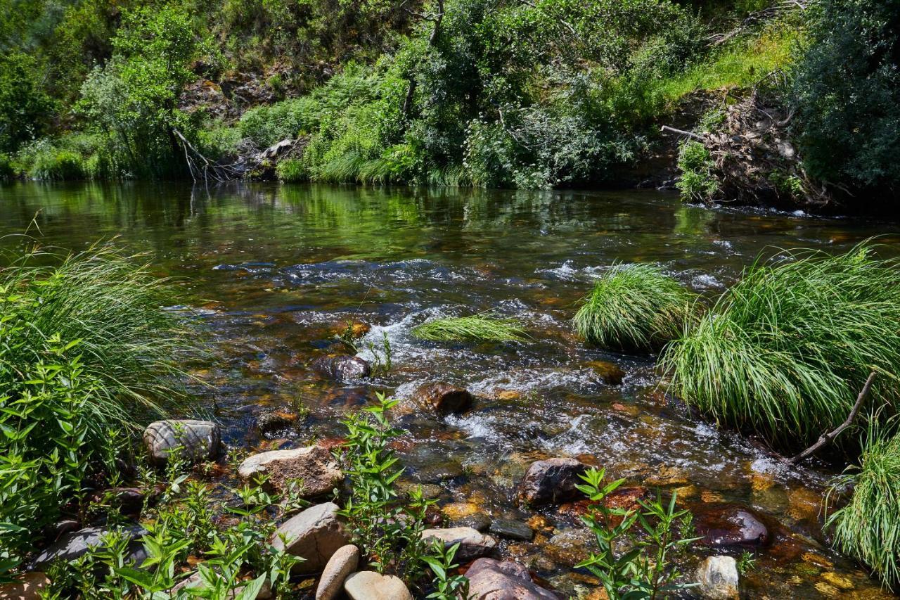 Cottage Da Paradinha: Passadicos Do Paiva - Arouca Eksteriør bilde